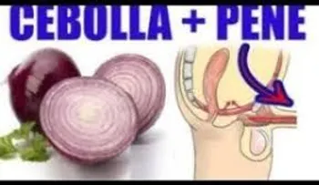 No lo podía creer: los poderosos efectos de la cebolla en el pene