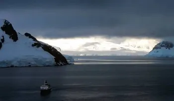 Un 'barco fantasma' lleva a las costas del Reino Unido hordas de ratas carnívoras 