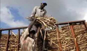 Haití documentará sin costo a migrantes mayores de 60 años