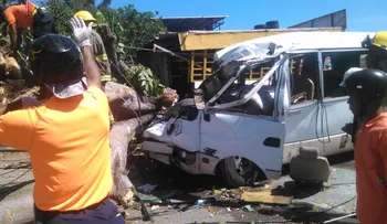Arbol cae encima de minibús y mata dos personas y deja 5 muy graves
