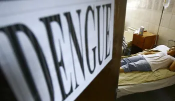 Aumentan casos de paludismo, dengue, malaria y otras endemias
