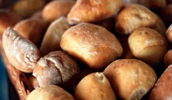 Intolerancia al gluten que sufren los celíacos podría deberse a un virus