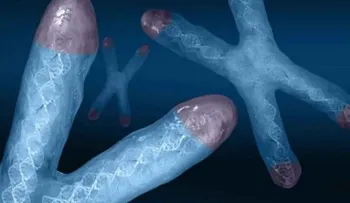 Adiós vejez: Descubren método seguro para rejuvenecer nuestro ADN
