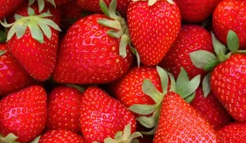 ¡Las fresas: Una bomba de salud, que curan lo que NO imaginas