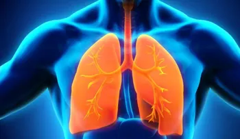 Científicos españoles logran un nuevo avance contra las infecciones pulmonares