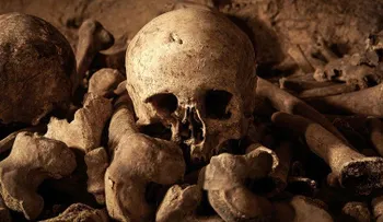 ¿Te atreverías a pasar Halloween en las Catacumbas de París?