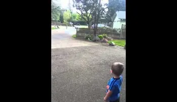 Un niño habla con los pavos y estos le responden (VIDEO)