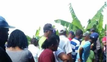 Asesinan agricultor Rolando Antonio Reyes, en Montecristi