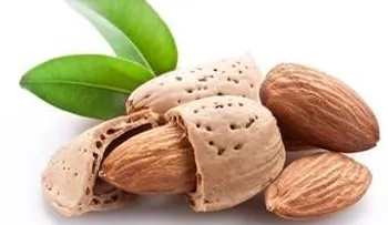 La almendra: un regalo para la salud
