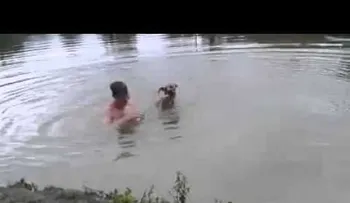 Reacción de un perro cuando su dueño se hace el ahogado (Video)