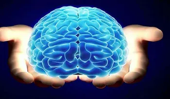 Describen por primera vez el espacio de trabajo global que dirige el cerebro