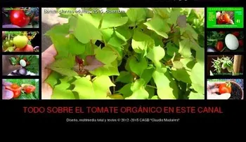 Todo lo que no conocías de la batata en detalles (VIDEO)