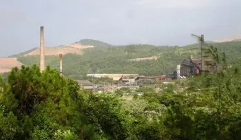 Academia de Ciencias dice Constitución y sentencias protegen a Loma Miranda