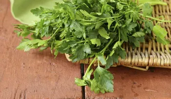 Efectivas recetas con perejil para eliminar las manchas de la piel