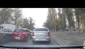 Una paloma provoca un triple accidente de tránsito