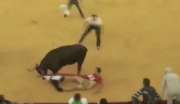 Un toro furioso deja a un espectador sin ropa interior (VIDEO)