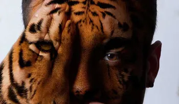Transformación de rostros humanos en animales salvajes