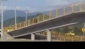 Un caballo usa puente peatonal para cruzar una vía