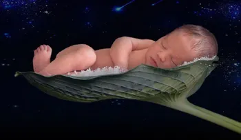 ¿Será posible concebir un bebé en el espacio?. Pronto darán resultados 