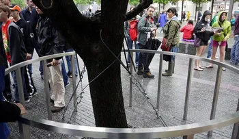 El único árbol que sobrevivió al 11 de septiembre