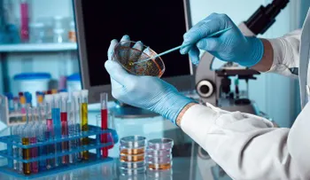 Científicos utilizan cepas de bacterias modificadas para tratar el cáncer