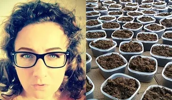 Conozca el regalo enviado por una escritora a su pareja infiel