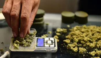 La FDA de EE.UU aprueba el primer medicamento a base de cannabis