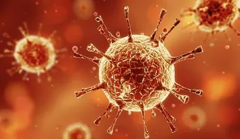 Cinco cosas que debes conocer del virus del Ã?bola