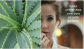 El aloe vera erradica todas las arrugas e imperfecciones del rostro. Genial, mira la receta....