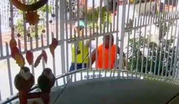 El aterrador momento en que sicarios fusilan de un disparo en la cabeza a un funcionario en Colombia