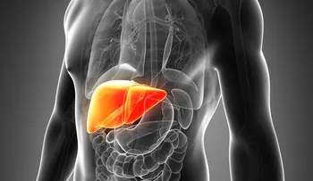 Revolución médica: el primer órgano humano ya está siendo impreso en 3D