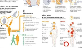 ¿Cómo protegerse del Ã?bola?