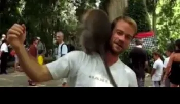 Monos hacen "chaca chaca" arriba de un turista