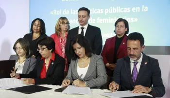 Gobierno continúa creación alianzas contra violencia de género