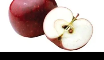 Semillas de manzana que curan