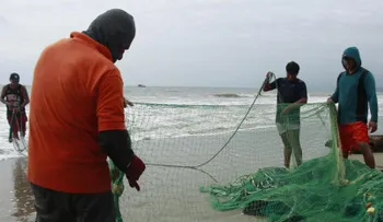 El Niño golpea la pesca artesanal en el Pacífico oriental: redes semivacías y crisis en Ecuador, Perú, Panamá y Guatemala