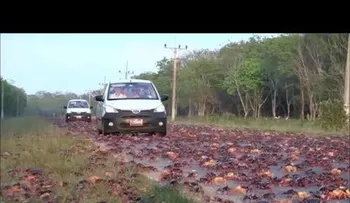Entérate de los videos más raros del Mundo