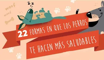 Anota las 22 formas que el perro te ayuda con la salud