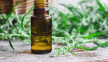 Usos medicinales de la artemisa