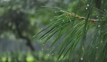 Indomet: escasas lluvias y posibles truenos para este sábado