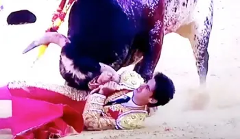 Muere por espeluznante cornada el torero español Víctor Barrio