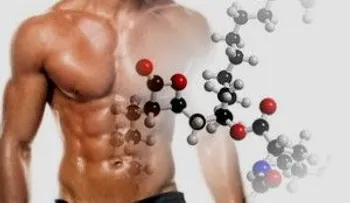 La testosterona favorece comportamientos agresivos, pero también generosos