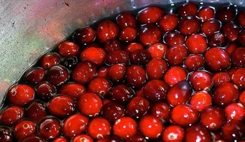 Un enjuague bucal con cranberry puede reducir número de bacterias en la saliva