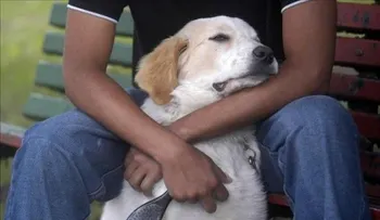Dueño y perro experimentan una conexión similar al de madre e hijo