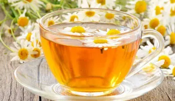 Descubre los mejores tes e infusiones para perder peso