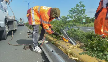 Gobierno inicia plan de reparación y sustitución de barandas de seguridad en principales carreteras del país