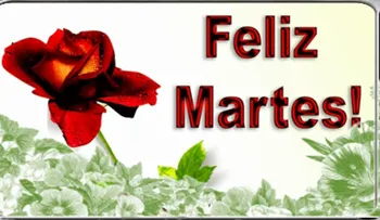 Martes 15 de mayo