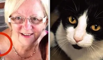 Impactante historia del gato que salva la vida de esta anciana