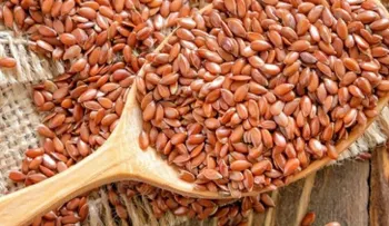 Linaza: Para perder peso, reduce el colesterol y previene el cáncer
