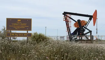 Nuevo impulso al yacimiento de Vaca Muerta en Argentina: ¿cuál es el plan de Macri?